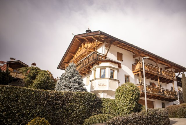 Sonnenblume Landhaus Waldsam (1/3)