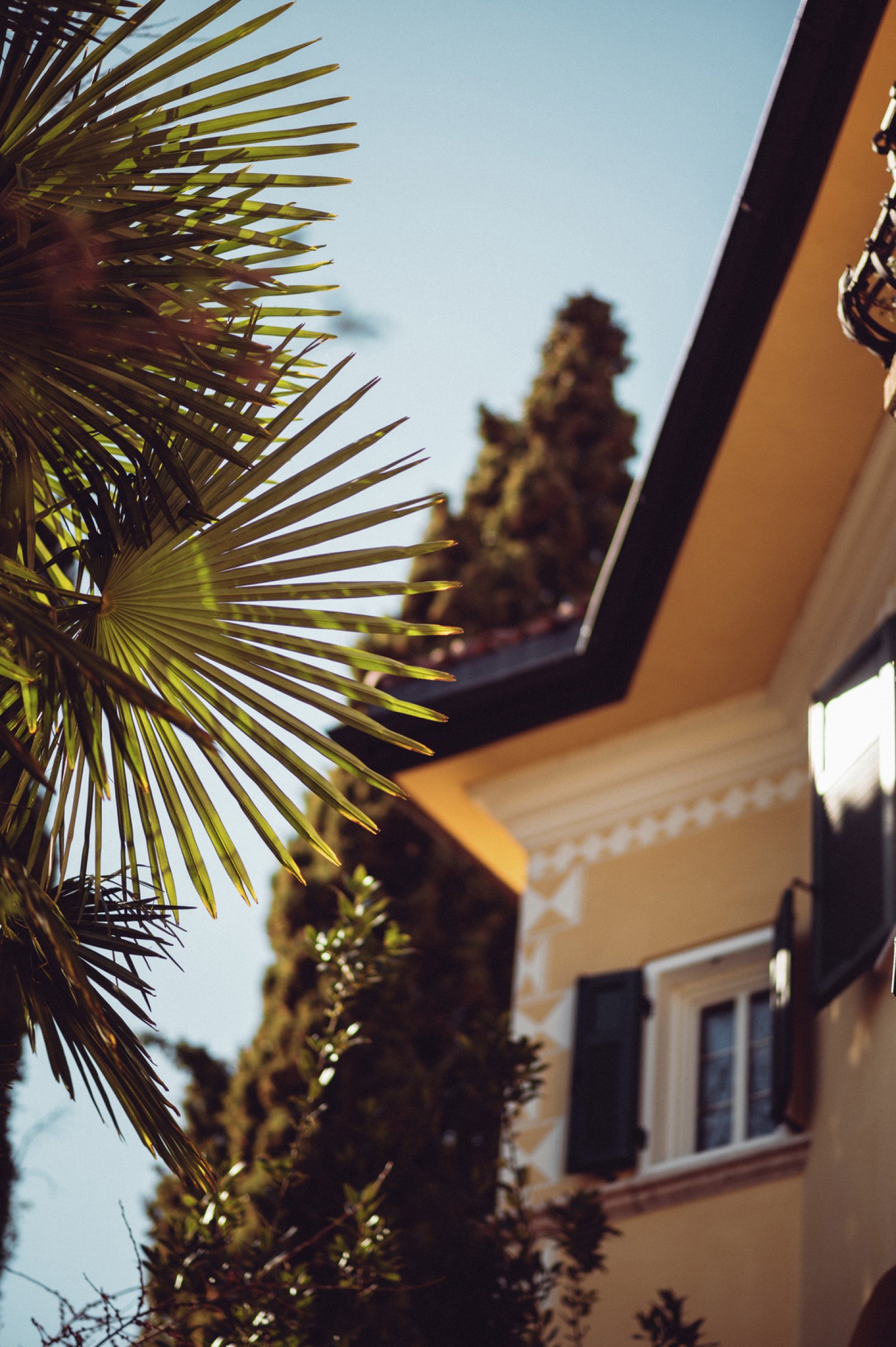 Villa Arnica Suites and Garden