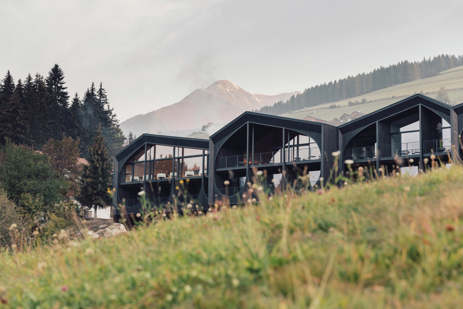 Hotel Milla Montis